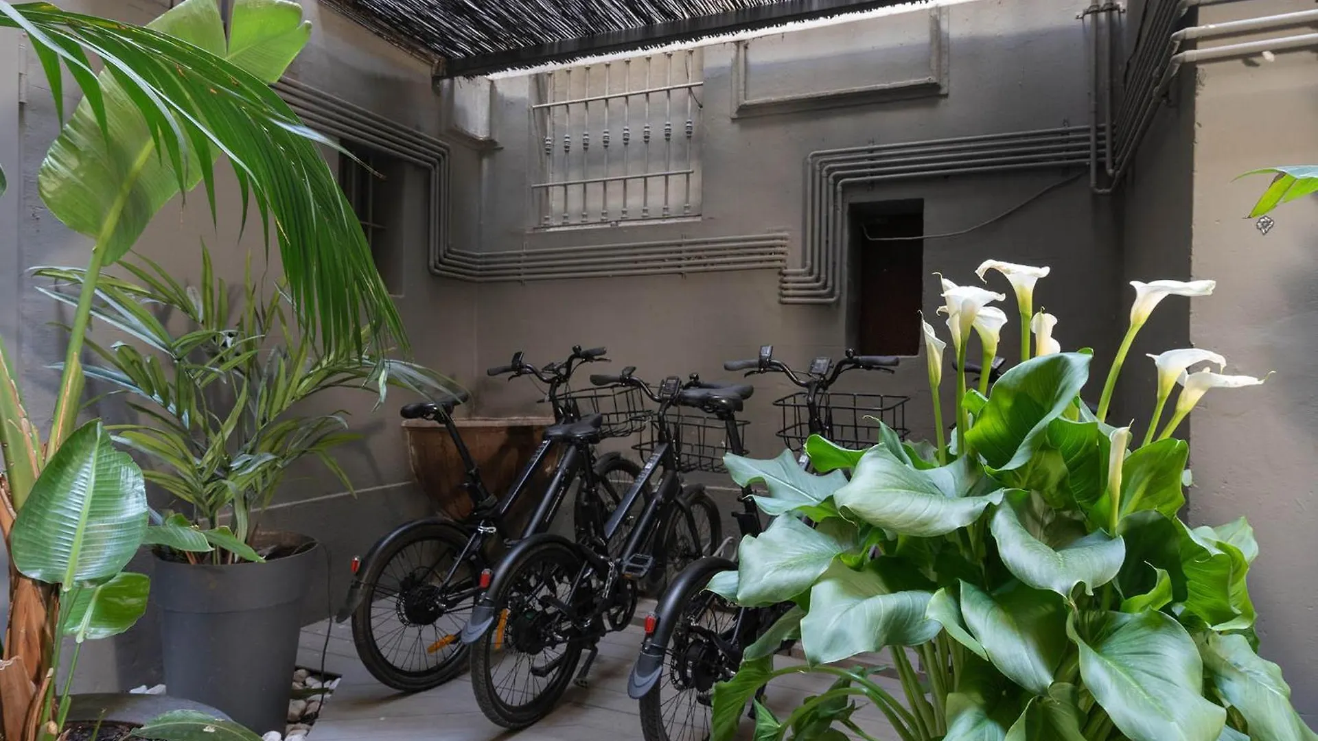 Chic & Basic Born Boutique Hotel Barcelona Spain